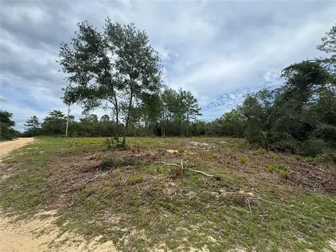 NE 135th Street Salt Springs FL 32134