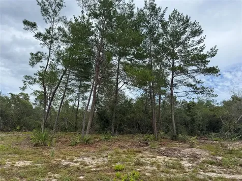 NE 135th Street Salt Springs FL 32134