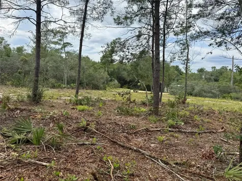 NE 135th Street Salt Springs FL 32134