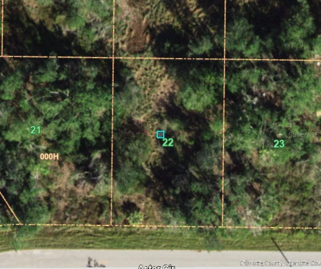 207 Astor Circle Punta Gorda FL 33982