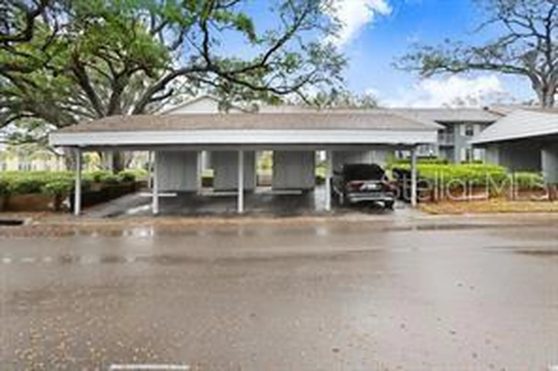 1420 Oak Hill Drive Dunedin FL 34698