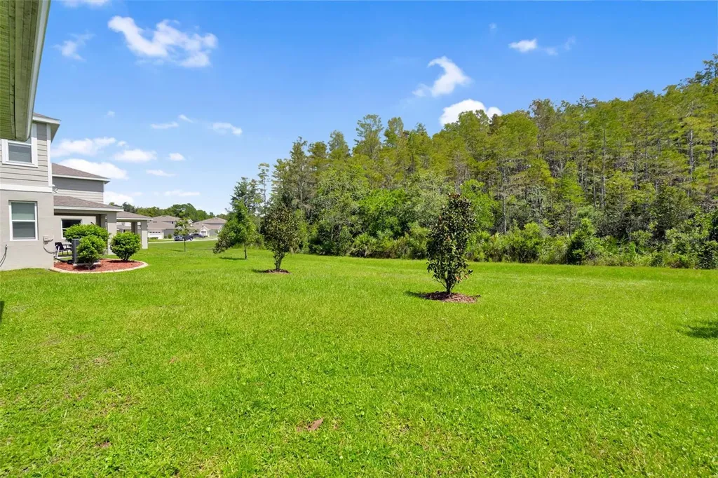 4071 Southern Vista Loop St Cloud FL 34772