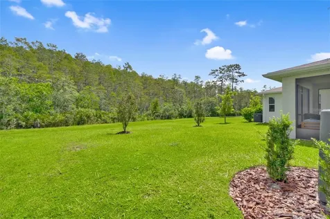 4071 Southern Vista Loop St Cloud FL 34772