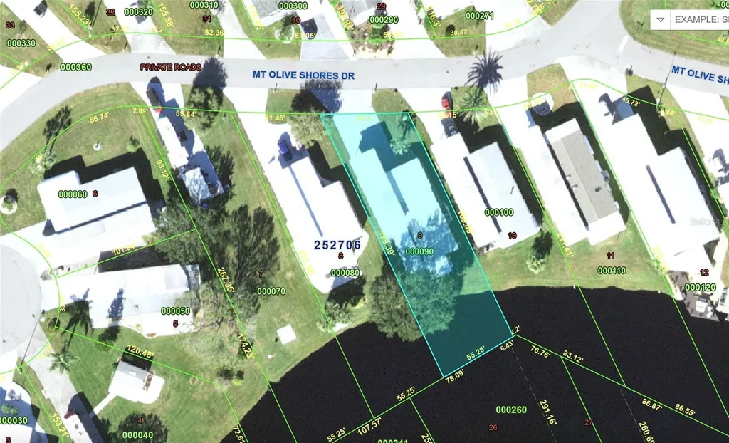 5001 Mount Olive Shores Drive Polk City FL 33868