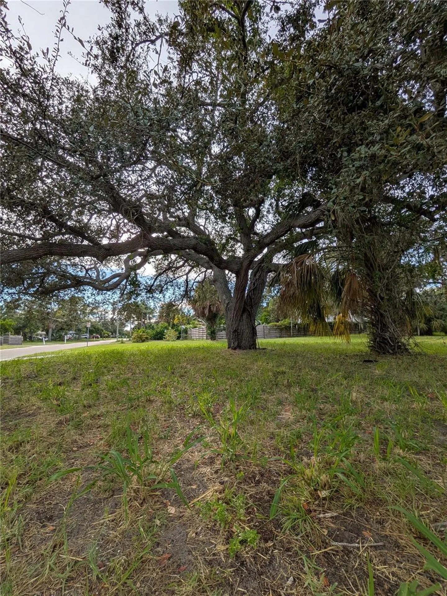 731 36th Avenue S St Petersburg FL 33705