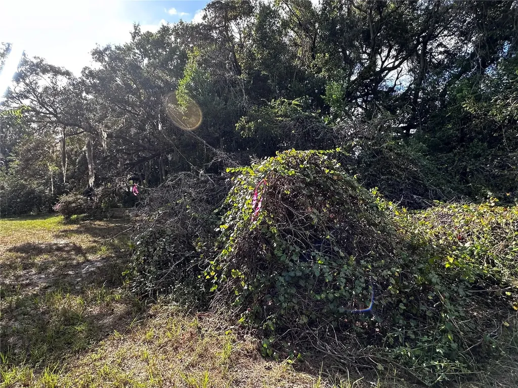 722 Highway 40 W Inglis FL 34449