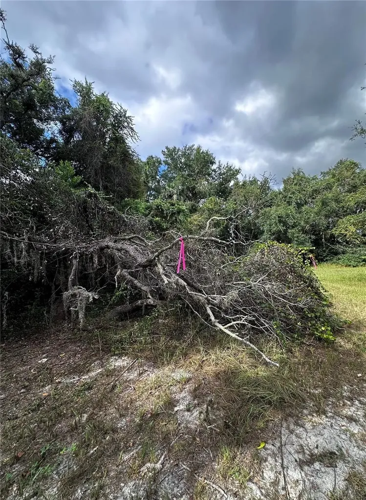 722 Highway 40 W Inglis FL 34449