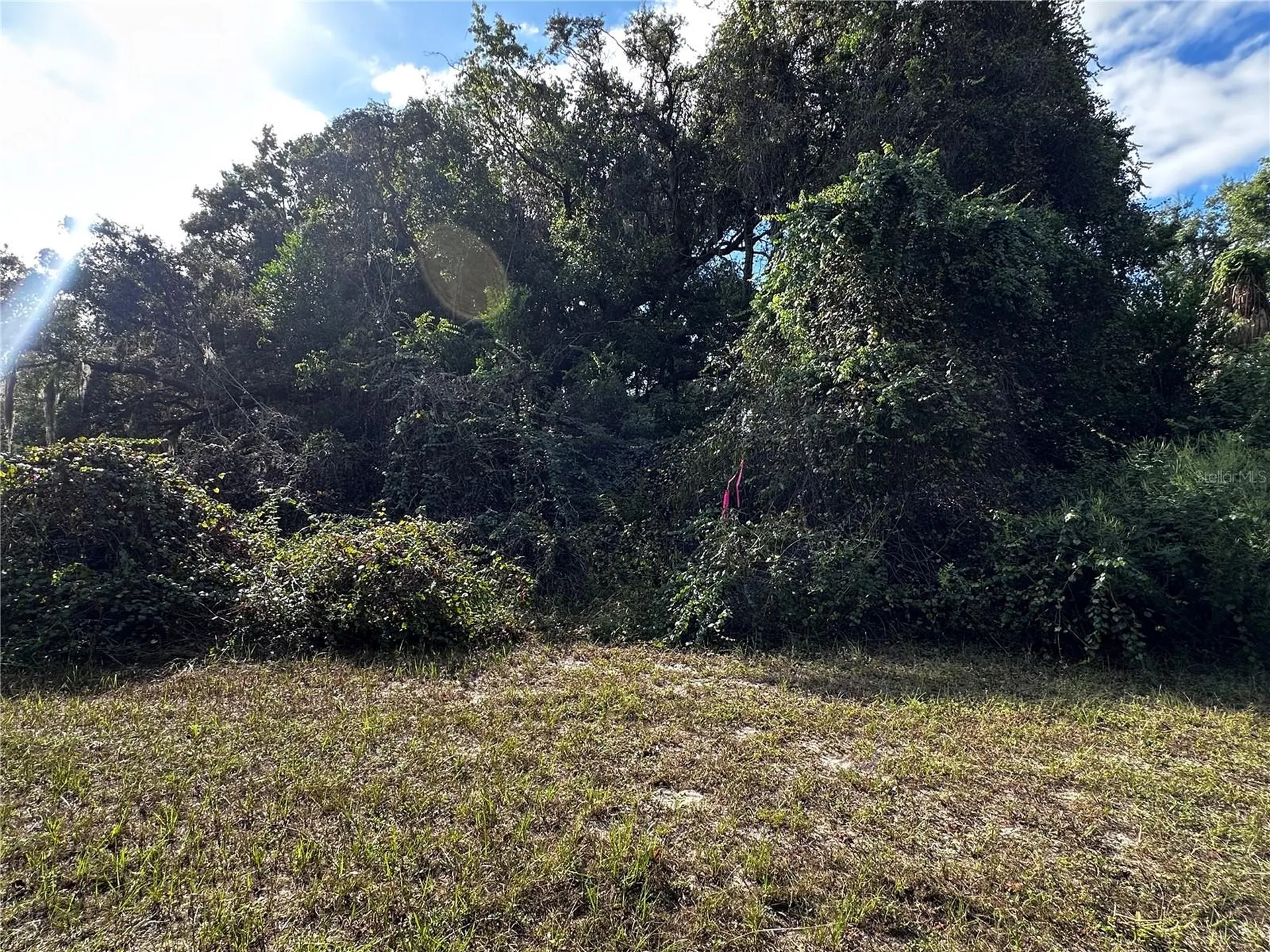 722 Highway 40 W Inglis FL 34449