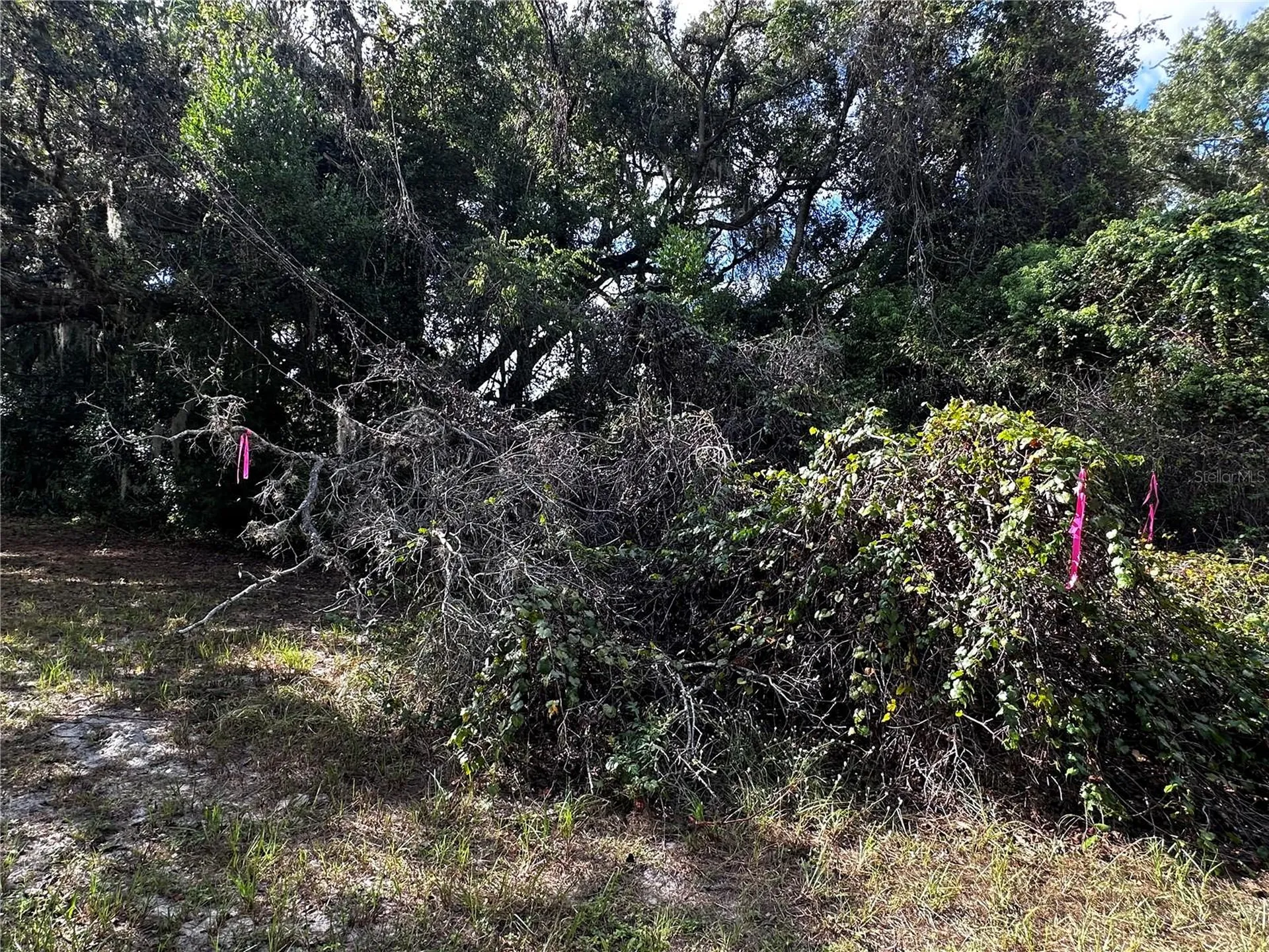 722 Highway 40 W Inglis FL 34449