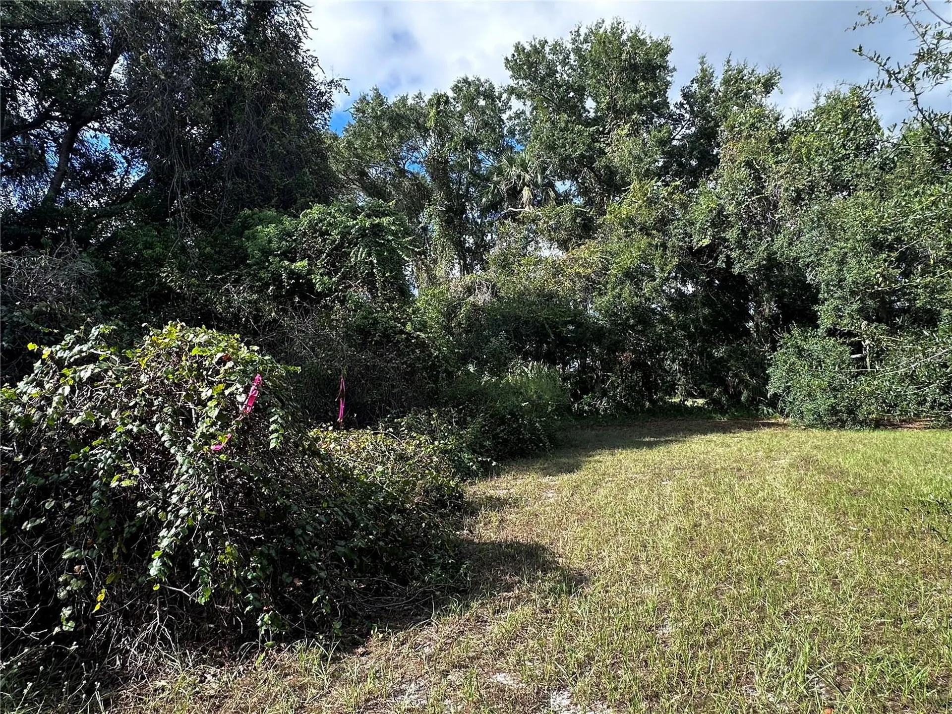 722 Highway 40 W Inglis FL 34449