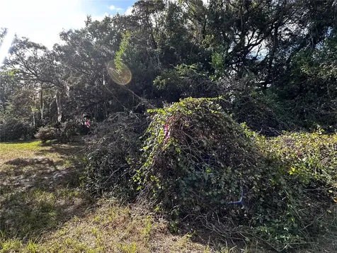722 Highway 40 W Inglis FL 34449