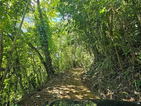 PR-159 Morovis PR 00687