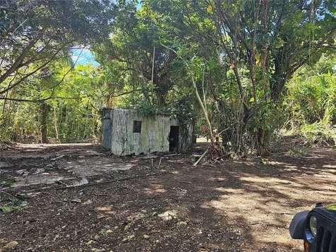 PR-159 Morovis PR 00687