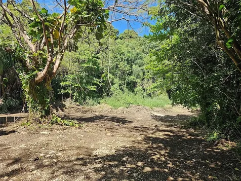 PR-159 Morovis PR 00687