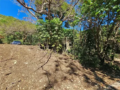 PR-159 Morovis PR 00687