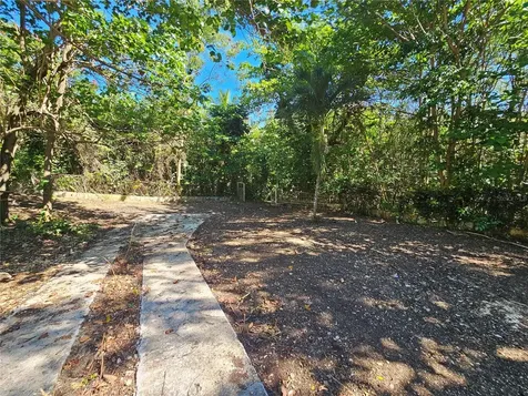 PR-159 Morovis PR 00687