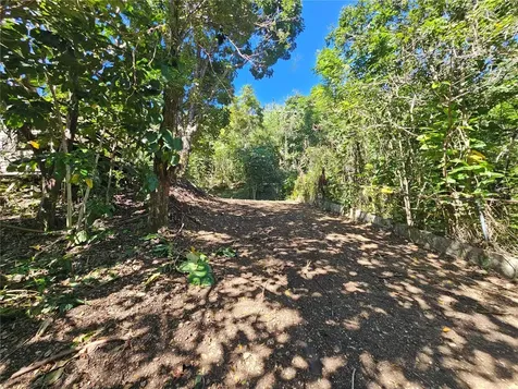 PR-159 Morovis PR 00687