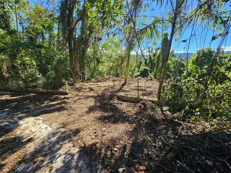 PR-159 Morovis PR 00687