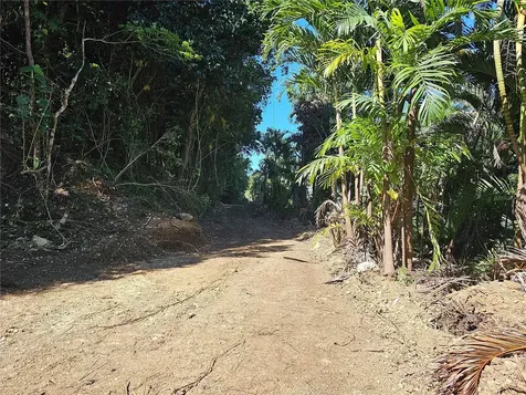 PR-159 Morovis PR 00687