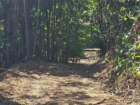 PR-159 Morovis PR 00687