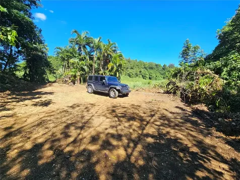 PR-159 Morovis PR 00687