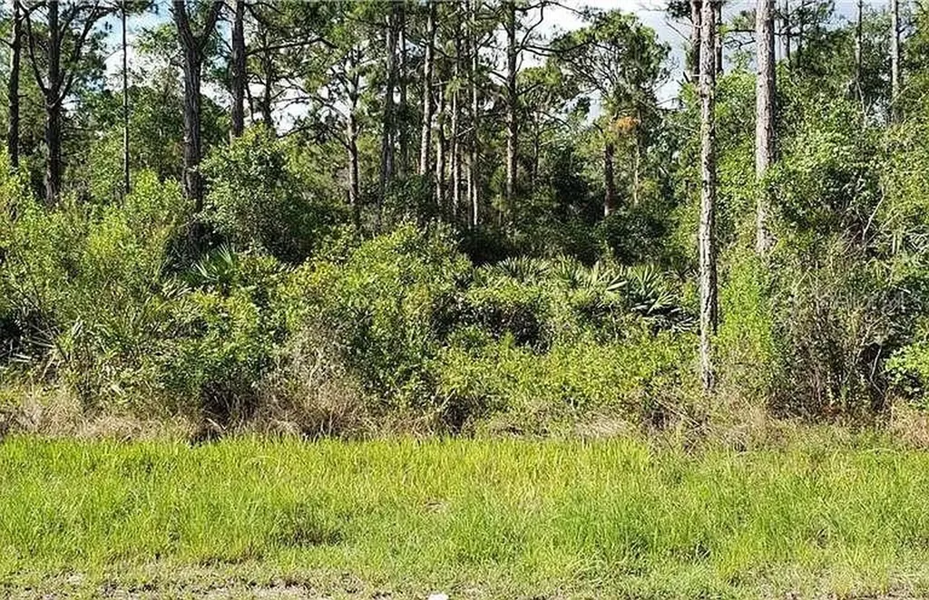 13475 Sheppard Avenue Port Charlotte FL 33953
