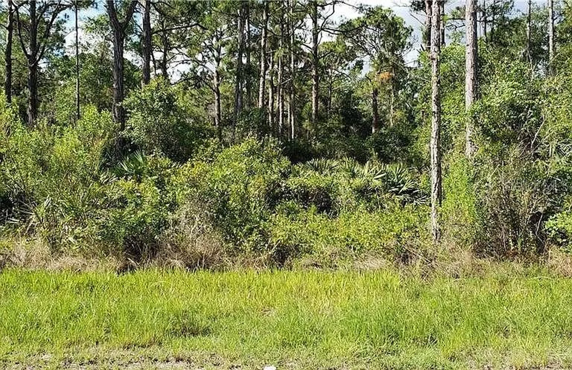 13475 Sheppard Avenue Port Charlotte FL 33953