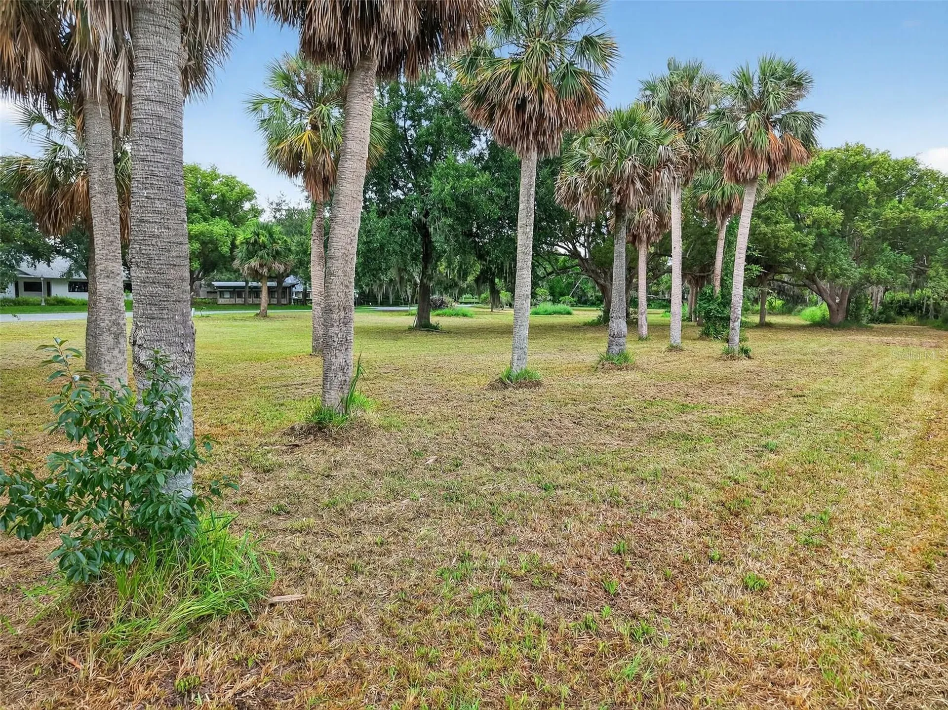 Amvets Way Mount Dora FL 32757