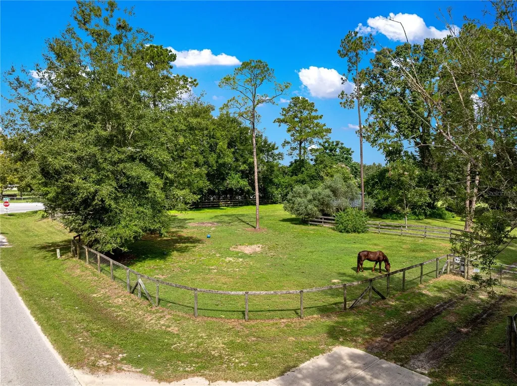 8221 SE 126th Place Belleview FL 34420