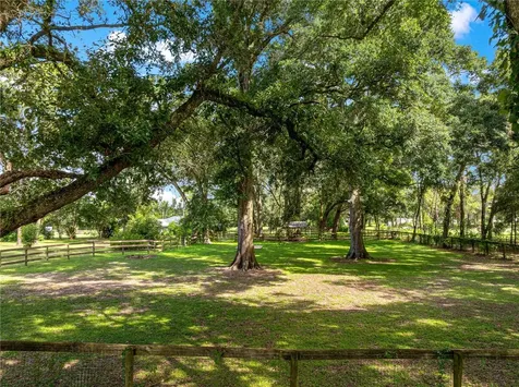 8221 SE 126th Place Belleview FL 34420