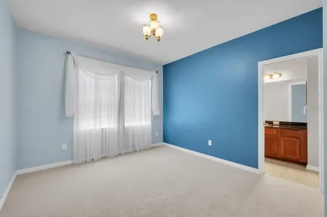 11209 Coventry Grove Circle Lithia FL 33547