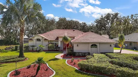 389 Reserve Drive Tavares FL 32778