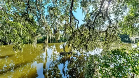 3050 Cross Fox Drive Mulberry FL 33860