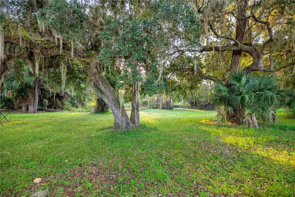 17545 NE 39th Court Citra FL 32113