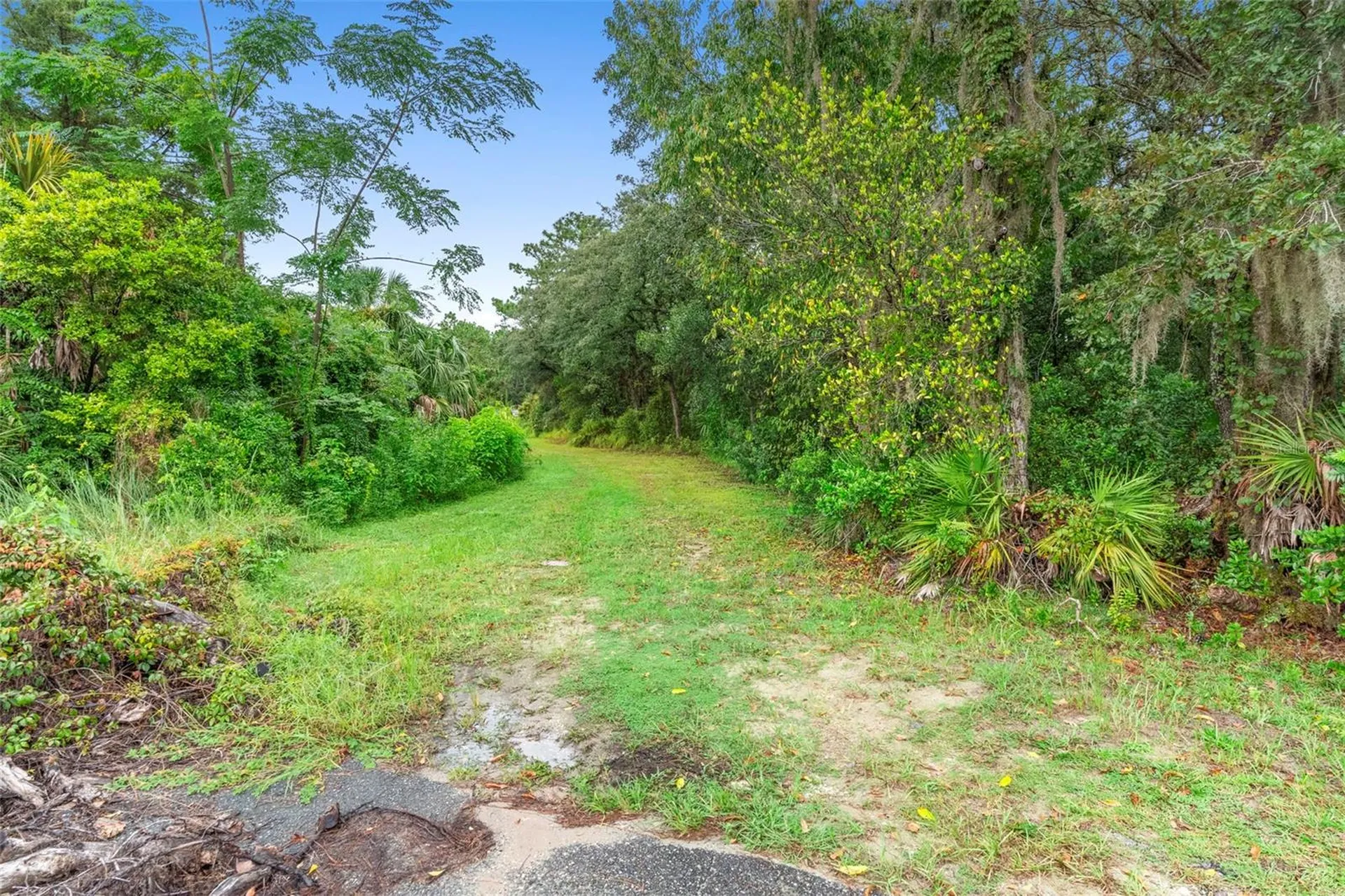 6011 W Homosassa Trail Homosassa FL 34448