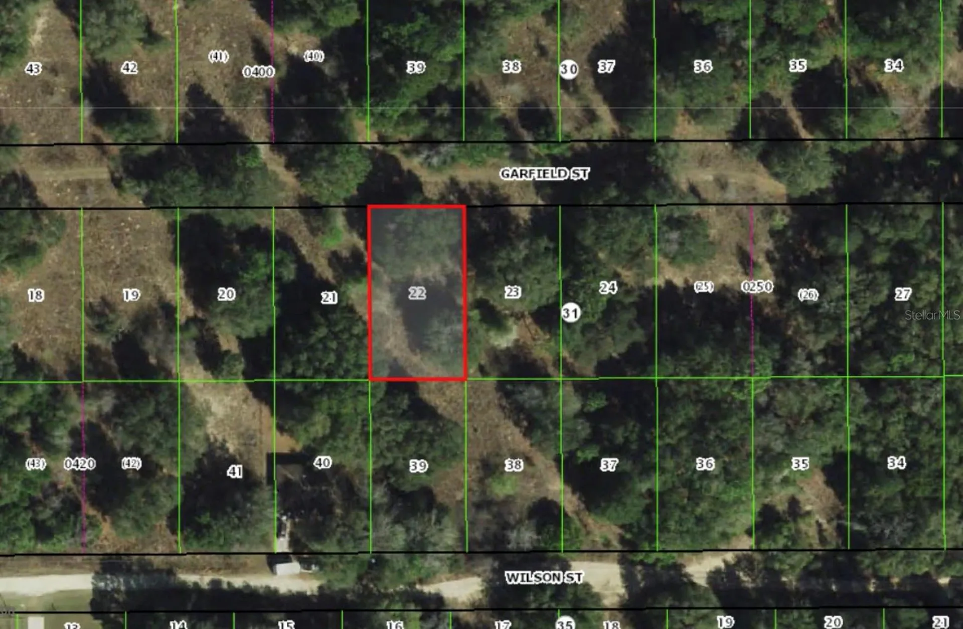 2303 Garfield Street Inverness FL 34453