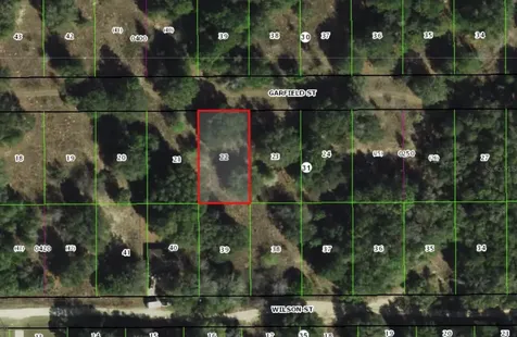 2303 Garfield Street Inverness FL 34453