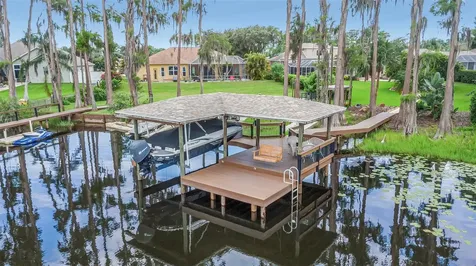 1402 Wyndham Lakes Drive Odessa FL 33556