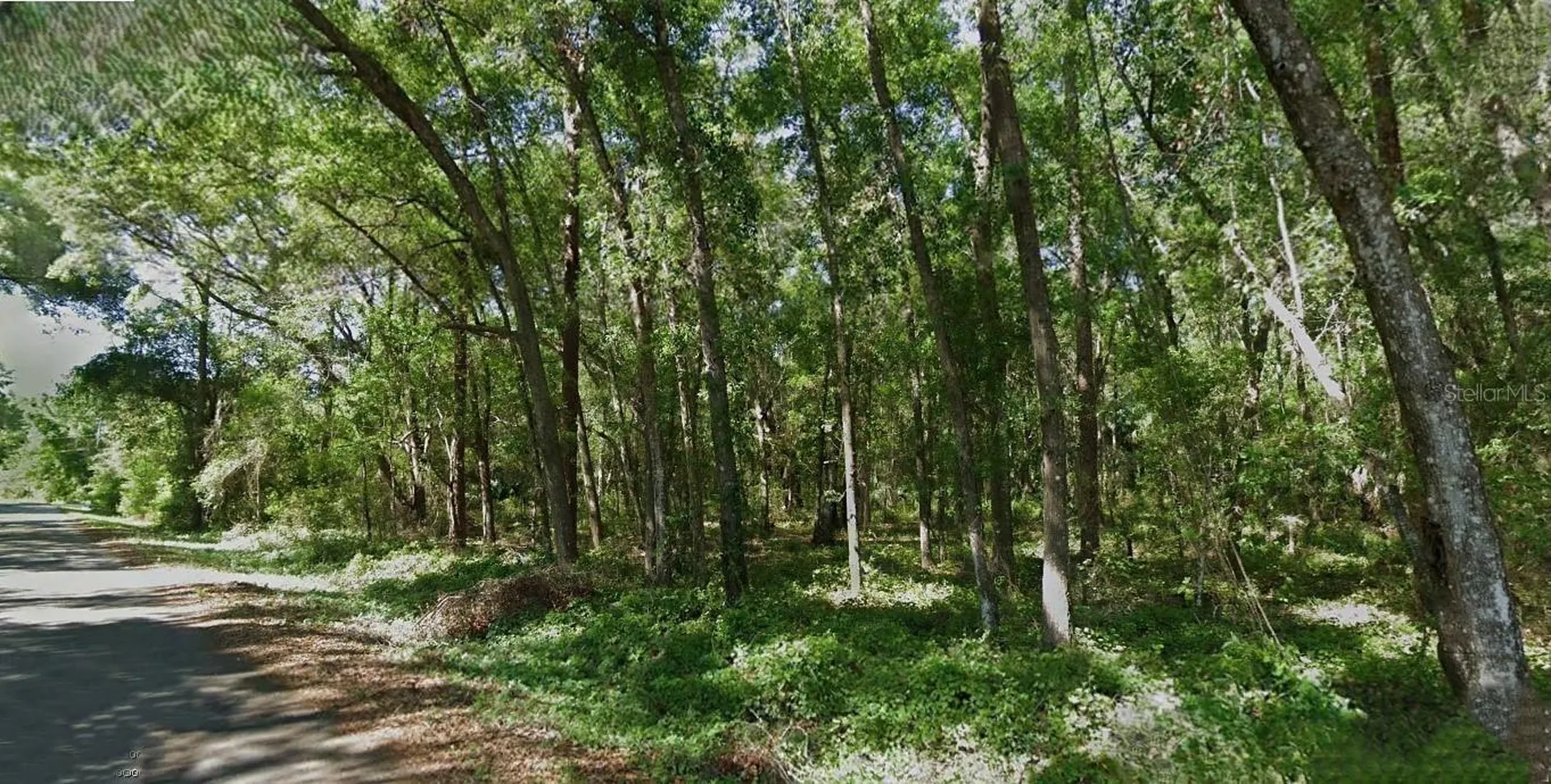 Sequoia Loop Trace Ocklawaha FL 32179