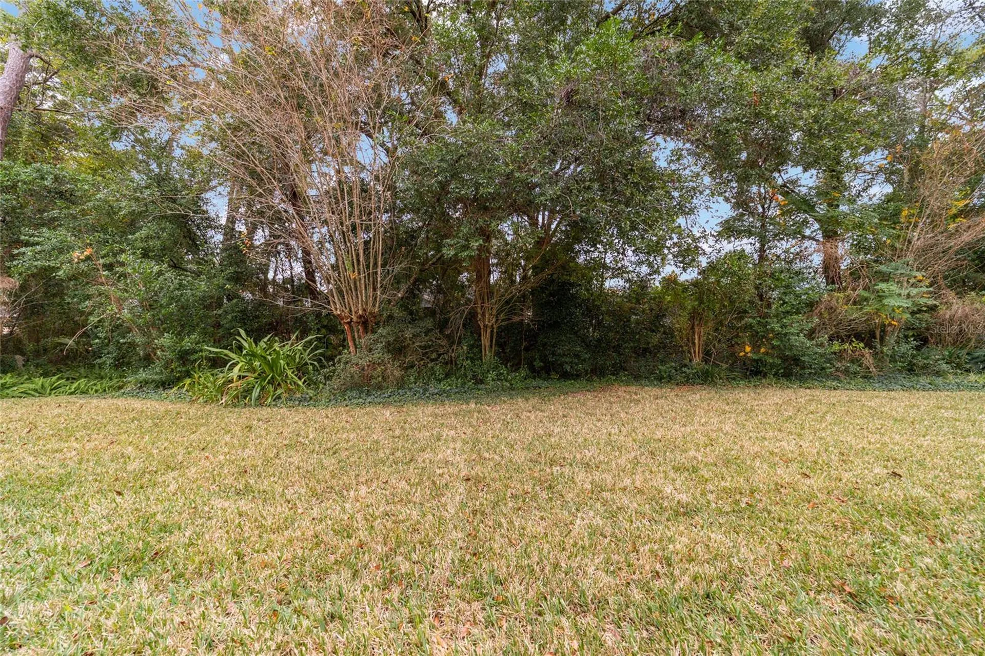 11481 SW 82nd Court Road Ocala FL 34481