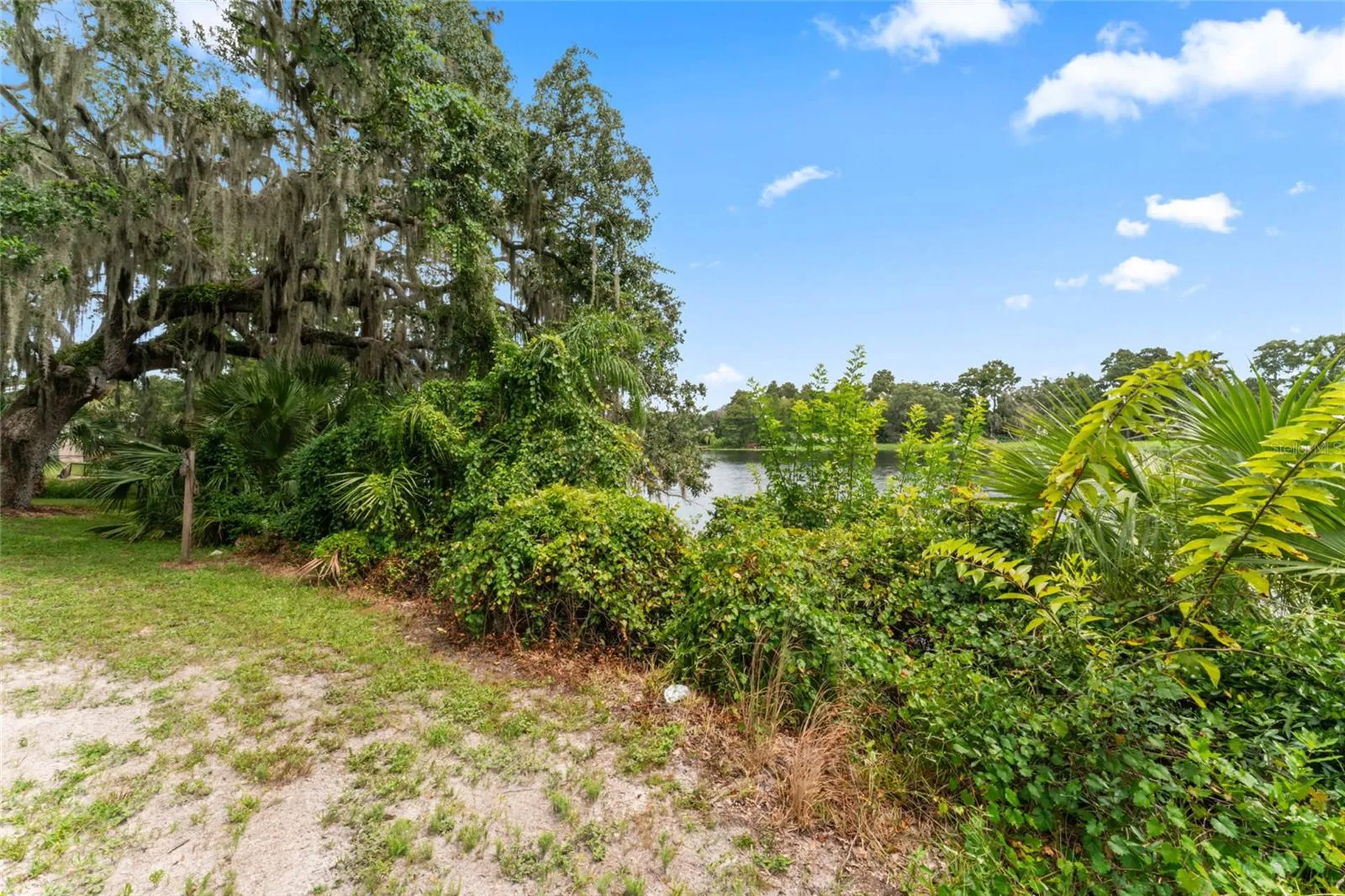 0 Riverhills Drive Temple Terrace FL 33617