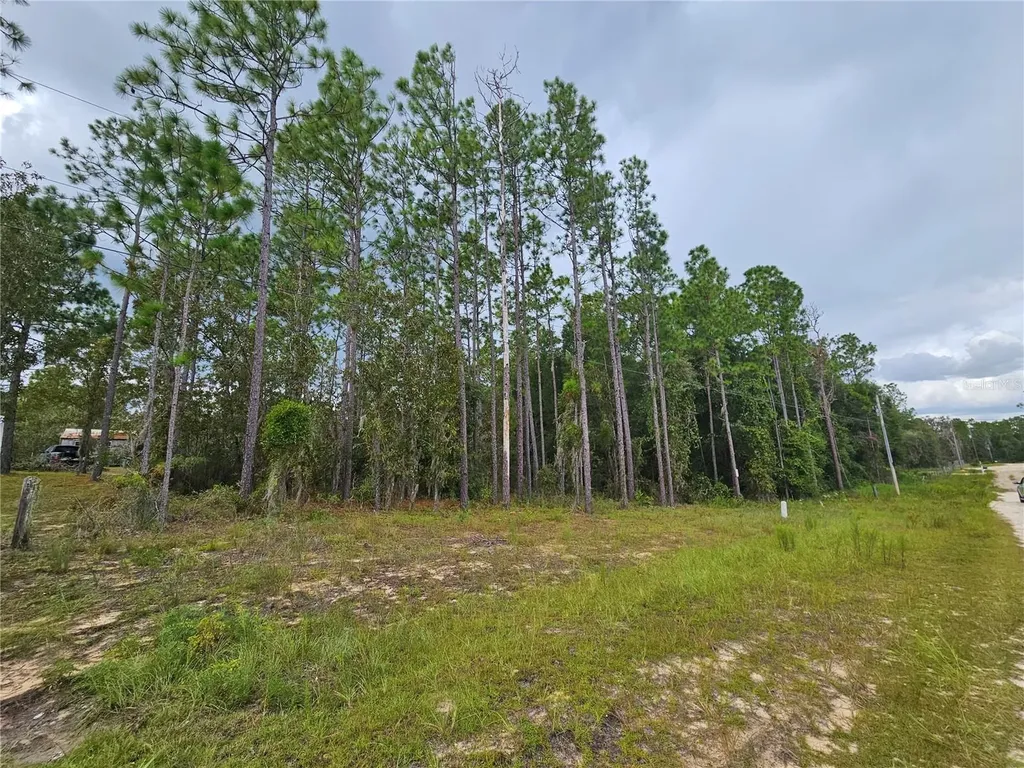 11730 NE 101st Terrace Archer FL 32618