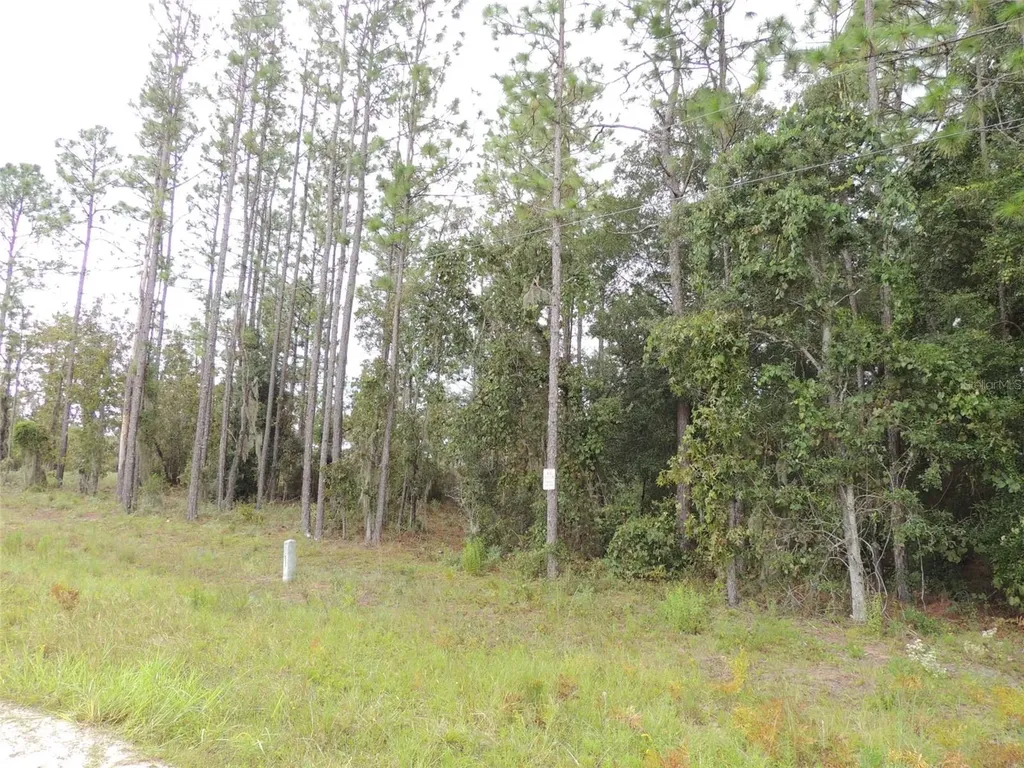 11730 NE 101st Terrace Archer FL 32618