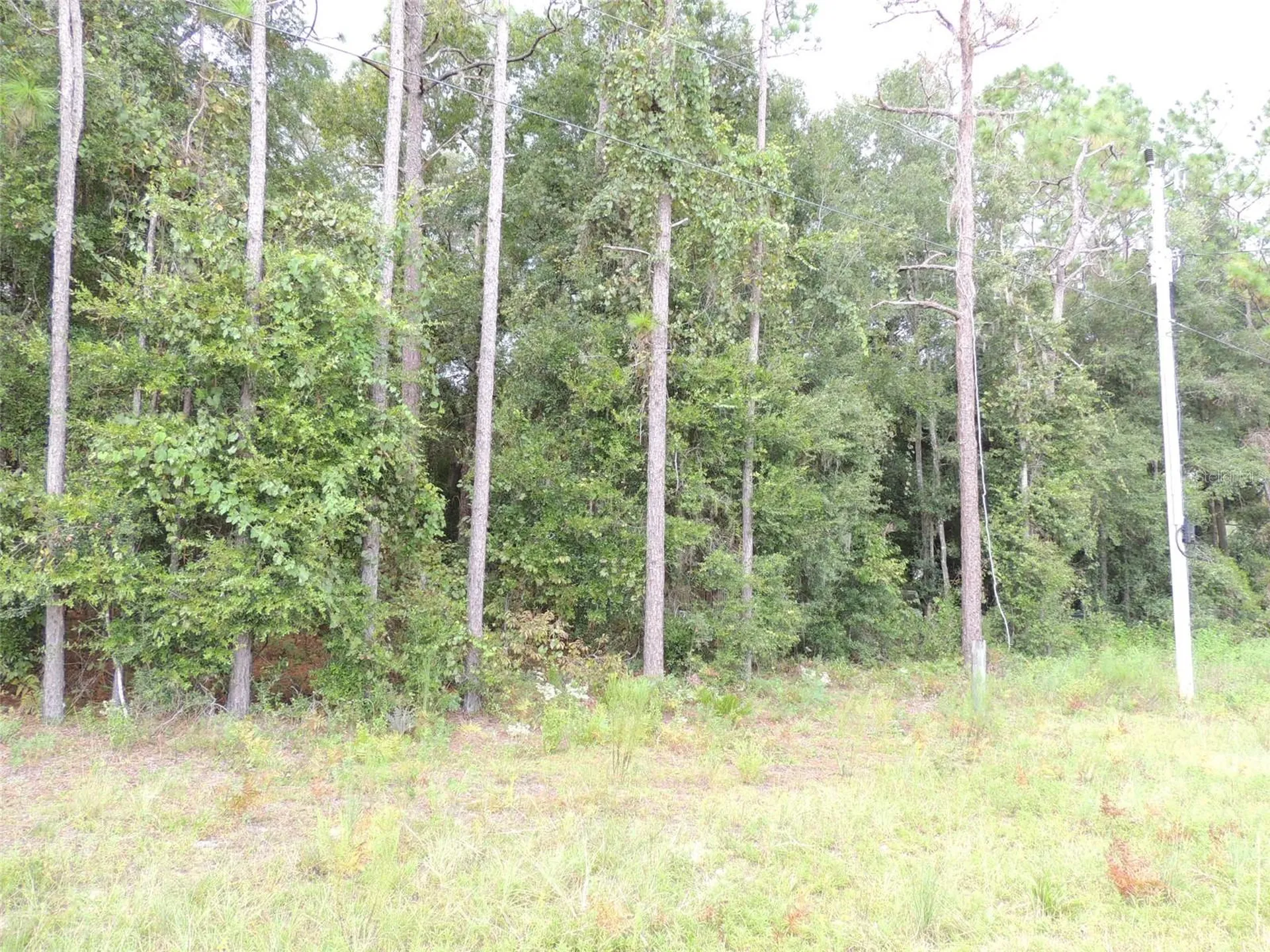 11730 NE 101st Terrace Archer FL 32618