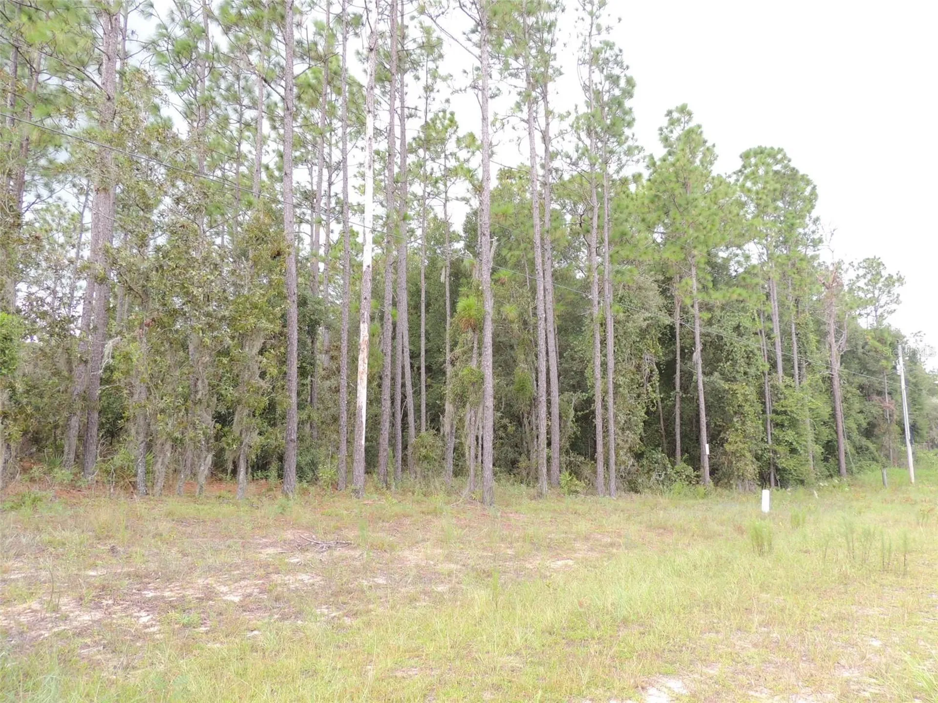 11730 NE 101st Terrace Archer FL 32618