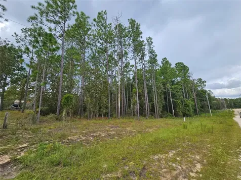 11730 NE 101st Terrace Archer FL 32618