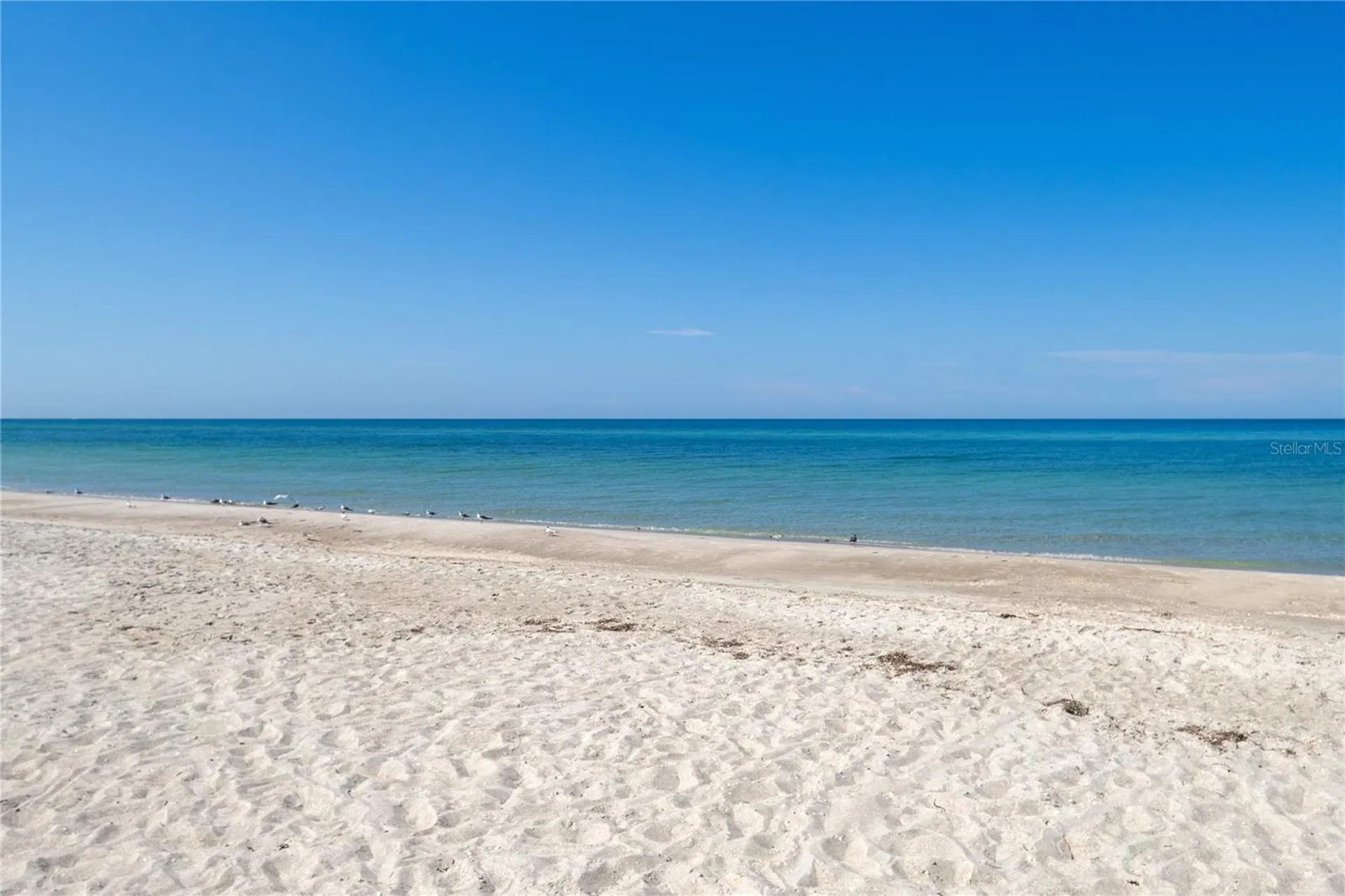 4621 Gulf Of Mexico Drive Longboat Key FL 34228