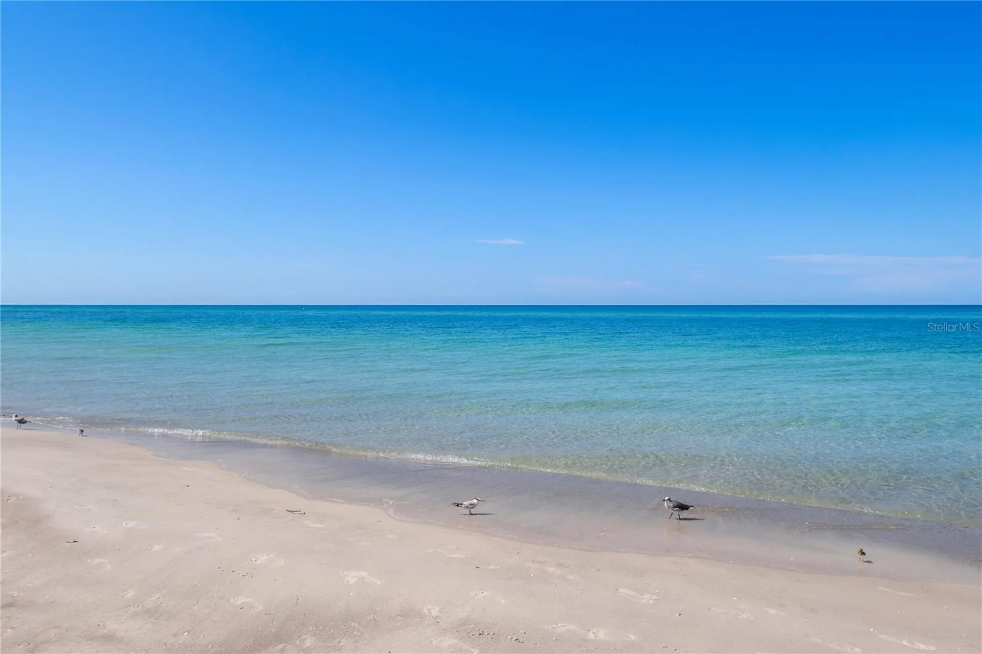 4621 Gulf Of Mexico Drive Longboat Key FL 34228