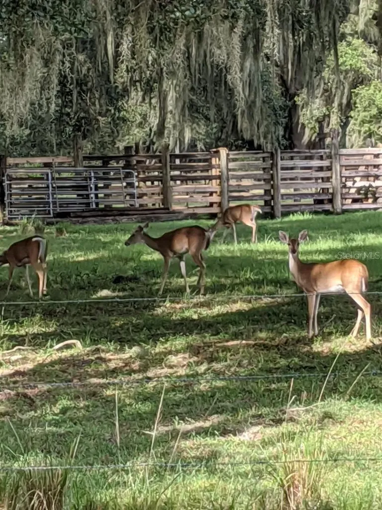 30500 34th Avenue E Myakka City FL 34251