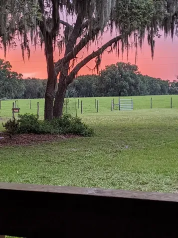 30500 34th Avenue E Myakka City FL 34251